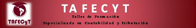 tafecyt mini portada